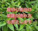 楽譜の読み方お教えします 新しく音楽を趣味にしたい方、楽譜を読み方を1から知りたい方 イメージ1