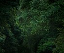 恋愛霊視鑑定｜見えない真実をすべて読み解きます これがあなたにとっての最後の鑑定に イメージ7