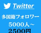 Twitter多国籍フォロワー5000人増やします 30日保証❗️減少少なめ❗️MAX10万人❗️ イメージ1