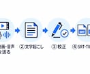 字幕・文字起こしを20分3,000円で作成します SRTとテキストで納品。20分まで3,000円・2日 イメージ3