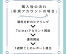 限定価格！30日間Twitter運用代行します 見込み客の集客、マネタイズ導線の構築をサポートします。 イメージ4