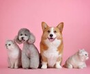 誰かに話を聞いて欲しい！そんな時にお相手します ご自身のペースで、お試しで少しだけ！も大丈夫です♪ イメージ5