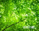 電話ヒーリング✨沈黙集中✨時間の長さ選べます 3分でも30分でも✨電話でヒーリング✨波動上昇で高波動を体感 イメージ9