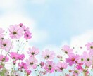男女歓迎【恋の相談室】幸せになるお手伝いをします 辛い恋どうしたらいい？お話聞かせて下さい。優しくお聞きします イメージ3