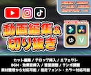 動画・ショート動画の編集を幅広く承ります 参考動画のテイストを活かした編集が得意です！ イメージ1