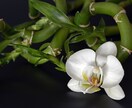ハンドメイドガーデンズにフォローされ感謝します CW評価☆５真心漢字一文字キーホルダー✱心ばかり✱差上げます イメージ5