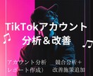 TikTokアカウント分析＆改善アドバイスします TikTokアカウントを徹底分析し、伸びるための改善策を提案 イメージ1