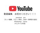 youtube動画編集　作成します 動画を作りたい皆様のお力になりたいです！ イメージ1