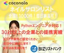 ネイルサロンの営業リストを提供します 全国13000件のネイルサロン!即日納品可! イメージ1