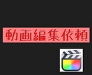 大切な映像の動画編集承ります YouTube、企業宣伝、Vlog、家族動画に躍動感を出す イメージ1
