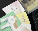 おうちの子を優しい水彩風のイラストでお描きします 似顔絵・メモリアルギフトにも。 イメージ3