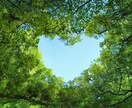名前占い☆恋愛運を生年月日で今の相性をお伝えします 名前の漢字がわからなくてもOK♪星座分かればOK♪同性OK♪ イメージ1