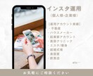1ヶ月Instagram/インスタ運用代行します SNS運用代行。アカウント開設から運用まで行います！ イメージ1