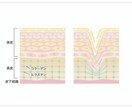 スキンケアの見直し・お肌トラブルの相談乗ります 元美容部員が全力で応援します。追加料金ナシ イメージ2