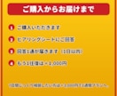 交通違反・免停が不安なあなたへ1往復で応えます 【1往復】青切符・赤切符・自転車の違反も。手続の流れを整理 イメージ5