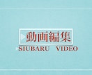 初出品！修正無制限で動画編集致します 動画編集が面倒！という方のお手伝いします！ イメージ1