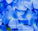 HSPさん専用⭐️日々のお悩み全部受け止めます もう一人で抱え込まなくて良いんだよ、だって、私もHSPだから イメージ4