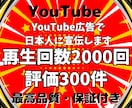 YouTube広告で日本人再生回数と評価増やします ★日本人にプロモーション★再生回数2000回＋評価300件✨ イメージ8