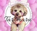 飛び出る!かわいいうちの子アイコン作ります 世界に一つだけ♡可愛すぎるうちの子アイコン イメージ1