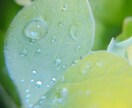 あなたの「ちょうどいい存在」としてここにいます 話したいことを自由に話せる☘あなた時間☘すべて受けとめます♪ イメージ10