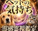 愛するペットの気持ちを霊感霊視します ペットの気持ちを読み解いてさらに絆が深くなる イメージ1