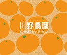 シンプルで使い勝手の良いロゴデザインを致します HP/パッケージ/名刺などに転用しやすいロゴデザインのご提案 イメージ6