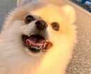 あなたを否定せず、ただ静かに話を聞きます 不安・愚痴・寂しさ、途中で切っても大丈夫です イメージ4