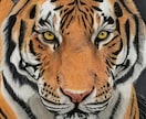 色鉛筆でリアルな動物を描きます 動物園取材×解剖学ベース、毛並み一本まで描き込む本格派 イメージ2