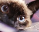 全部吐き出しましょう。皆様のモヤモヤを解消します クラブのママ私生活では…普通の母(シングルマザー子供5人) イメージ3