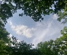 気になる相手のお気持ち占います あなたが幸せを感じられるベストな関係性が育まれますように イメージ1