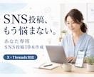 X・ThreadsのSNS投稿文10本を作成します あなた専用の投稿文を丁寧に作成します イメージ1