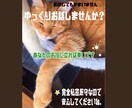 完全秘密厳守！！資格あり！真剣にお話聞きます 数分のお試しでもOK！お気軽にお越しください〜 イメージ1