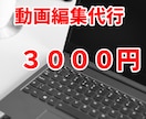 動画編集行います プロの動画クリエイターがあなたの動画を編集します イメージ1