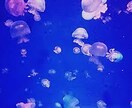 電話で話そ♪どんなお話も聞きます 愚痴、悩み、相談、雑談何でもokです♪話して楽になりましょう イメージ8