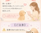 ペット専用1日1回15分×3日遠隔ヒーリングします やさしく届く、ペット遠隔ヒーリング イメージ4