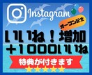１５００円でインスタのいいね！１０００増やします オープン記念！！販売数30人まで＋５０％増量サービス中 イメージ1