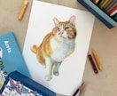 オイルパステルでペット画や似顔絵お描きします 色鉛筆とオイルパステルで温かい色合を表現。プレゼントにぜひ イメージ3