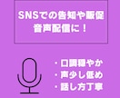 あなたの本のPR文章朗読します SNS告知に！本の内容を音声でわかりやすく イメージ2