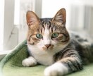 頑張りすぎないで！プチ鬱な貴方の居場所になります メンタル心理カウンセラー資格有♡病院に行く前の駆け込み寺 イメージ10