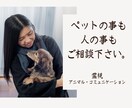 霊視【ペットロスを体験】している私がお伝えします ペットを亡くした/ペットロス/寄り添アドバイス/ペットは家族 イメージ2
