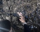 愚痴や話したいこと聞きます 一緒に雑談しよ愚痴でも悩みでも今日の楽しいことでもなんでも イメージ2