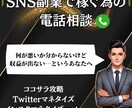SNSビジネスの売り上げを伸ばすアドバイスをします 60分のコンサルティングサービスを行います イメージ1