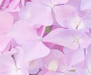 恋愛相談乗ります あなたらしい色の恋の花、一緒に咲かせませんか イメージ1