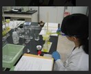 食品の分析方法についてご相談に応じます 食品の分析の様々なお悩みを解決します! イメージ1