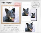 きらめく瞳のペット似顔絵アートをお届けします データ＆スマホ待ち受けサイズ画像もプレゼント／犬猫小動物OK イメージ2