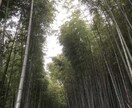 ３日間　日頃の愚痴聴きます 日常生活で誰かに聴いて欲しいことある方お気軽に^_^ イメージ1