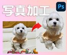 写真の加工・修正（複数枚）承ります 安価に、綺麗な写真の加工を！（切り抜き、不要物の除去、合成） イメージ1