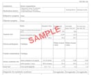 戸籍謄本の翻訳3,800円から行います 最短当日納品も可能です！戸籍をスマホで撮影して送るだけ！ イメージ5