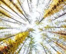 山登時のステキな写真の撮り方を教えます カメラを買ったけど撮り方がわからない方にオススメです！ イメージ1