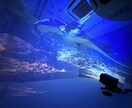 360度投影！全員参加型のVRを提案します VRコンテンツの提供！プロモーションします！ イメージ7